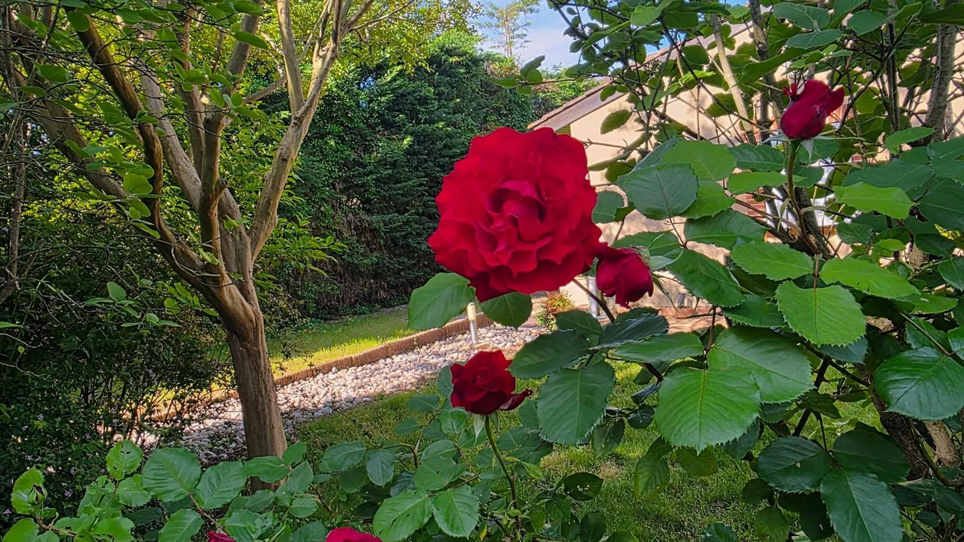 Bed & Breakfast La Villa Des Violettes Toulouse