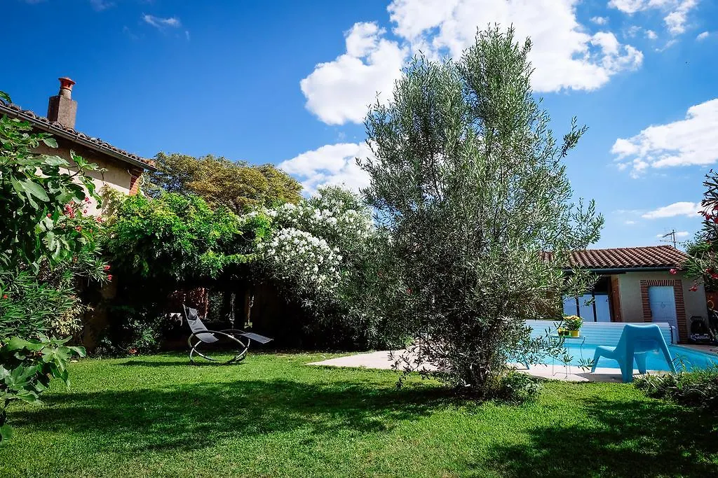 La Villa Des Violettes Toulouse Bed & Breakfast